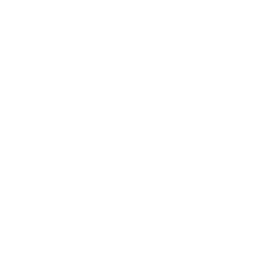 VEX Group
